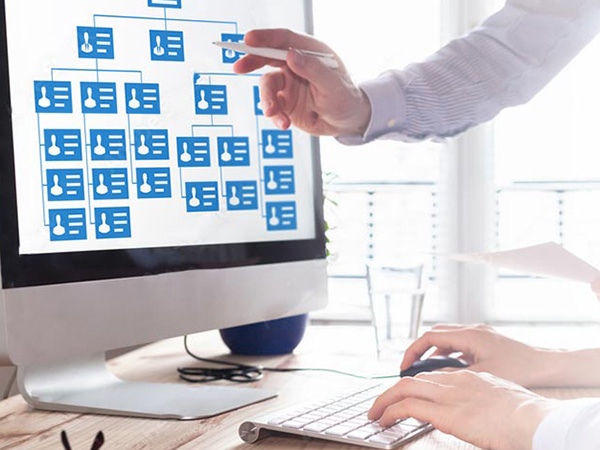 Organizational Chart